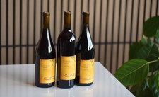 2025 Sandler Holiday 3 Pack